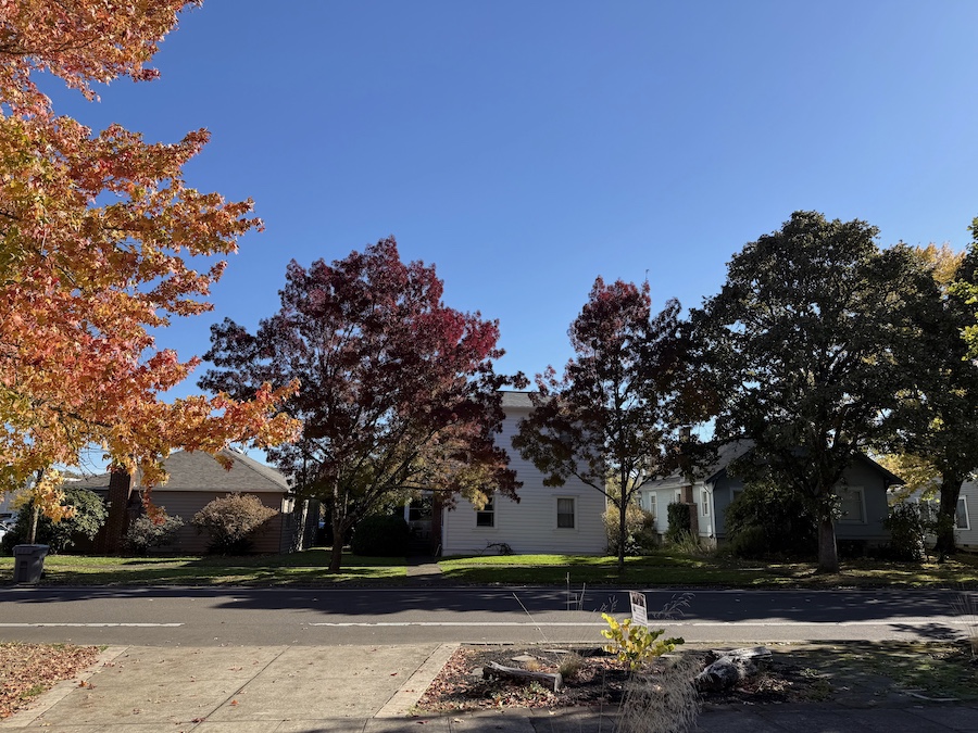 Picture of the homes adjacent to the proposed development site